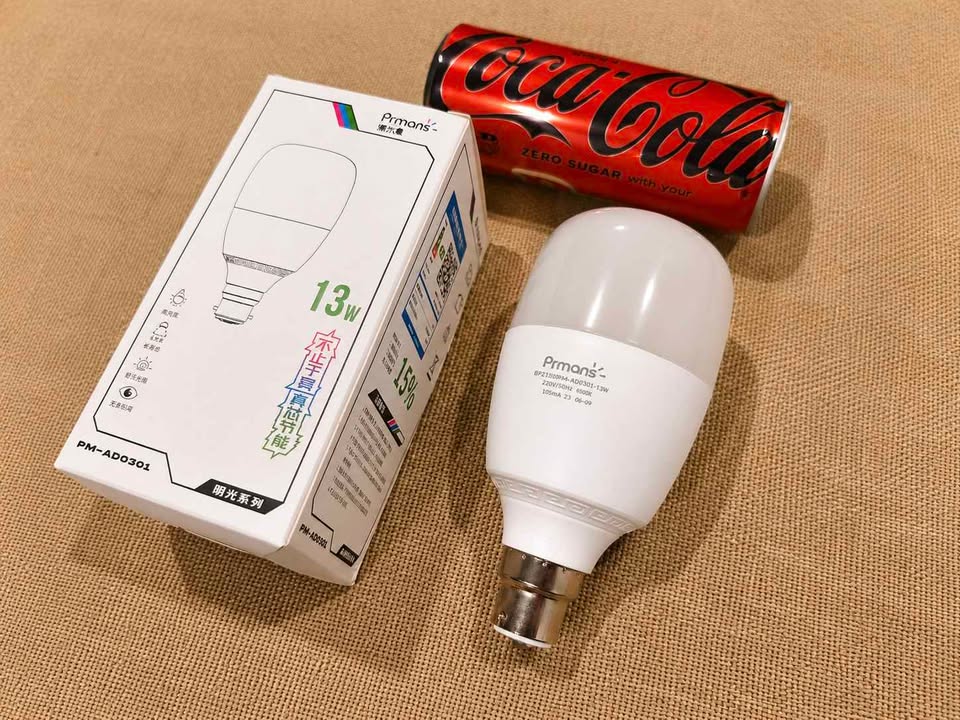 New 13W Bayent Large LED Globe 1500Lm Warm White